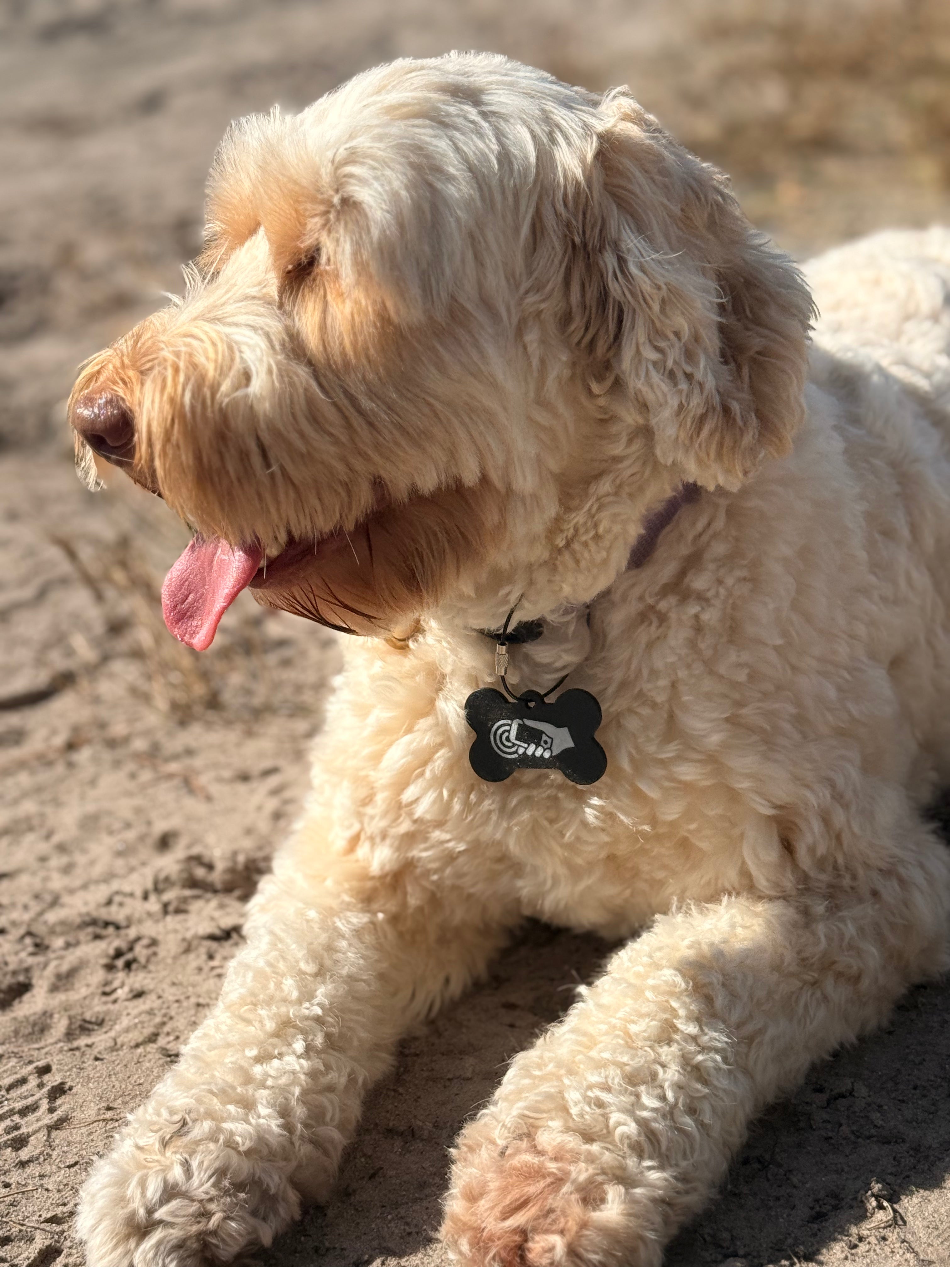 Dog-Tag